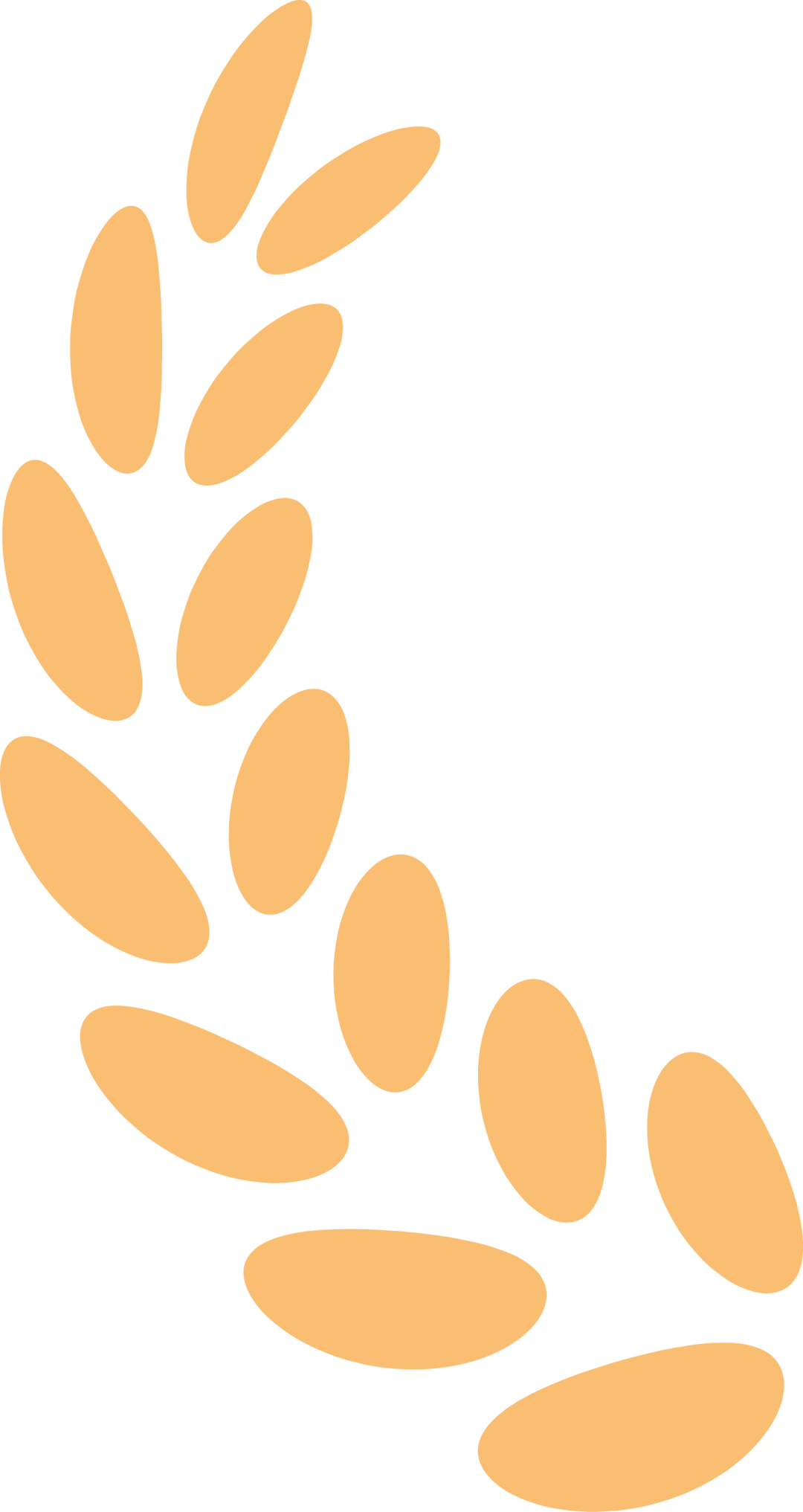 1770012858191150.png 1770012858191150.png