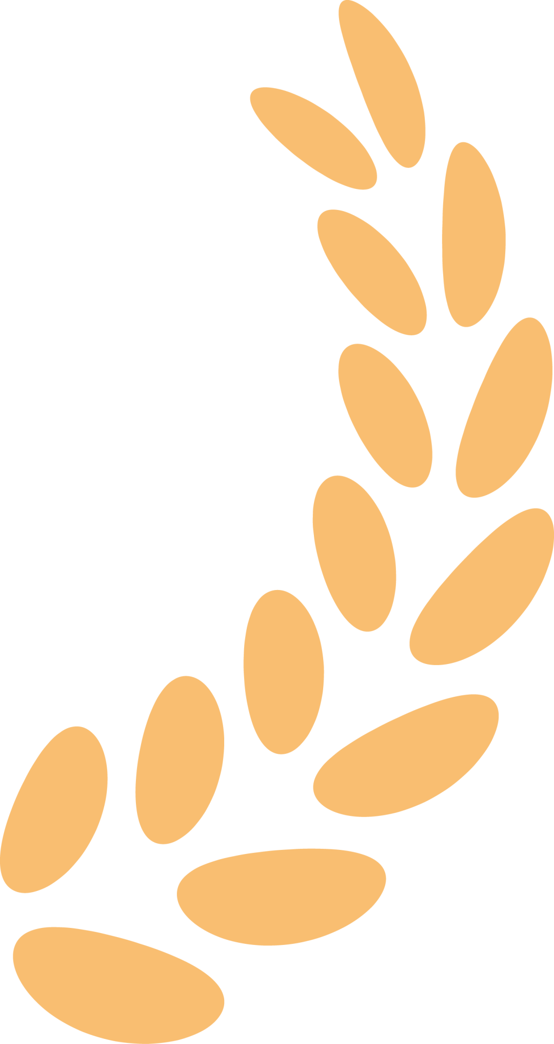 1770012867760252.png 1770012867760252.png