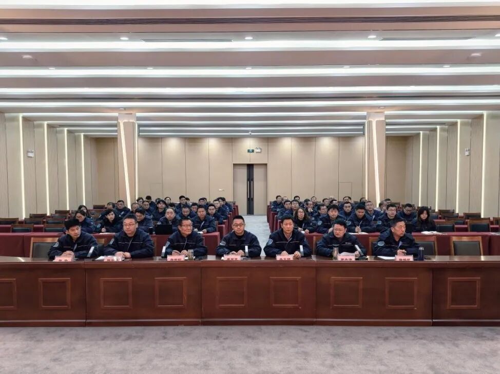 1772014224318069.jpg 2.jpg