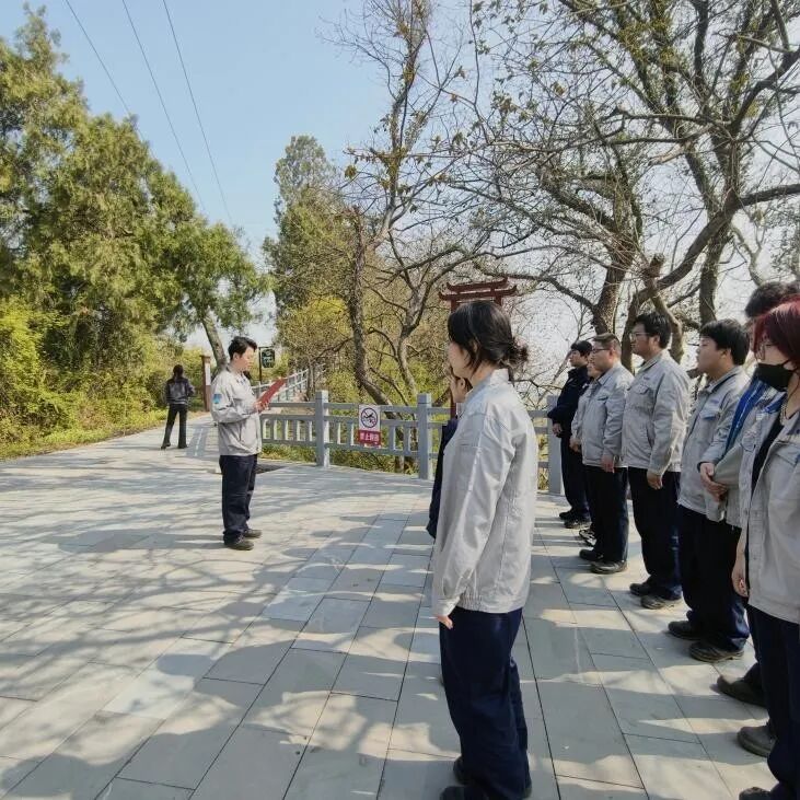 1775549802945261.jpg 5.jpg