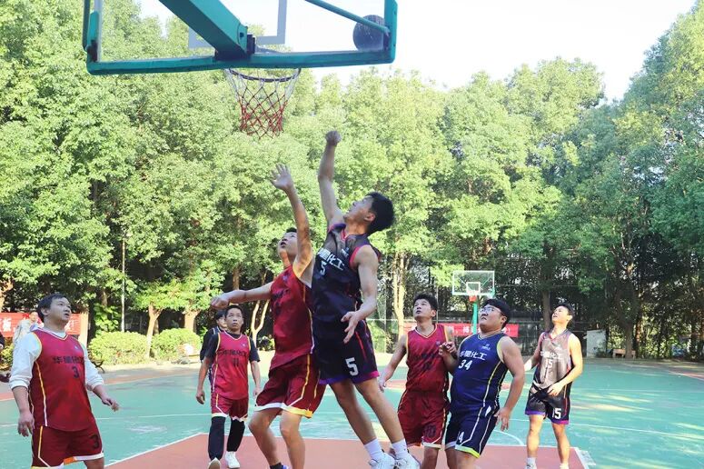 1776331616777685.jpg 4.jpg