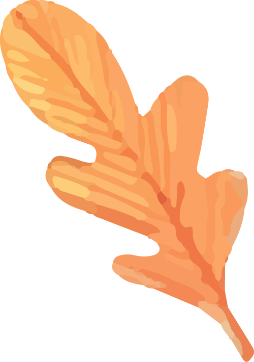 1792575666565519.png 1792575666565519.png